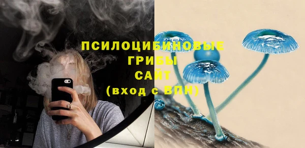 mdpv Пыталово