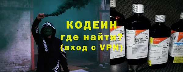 индика Нея