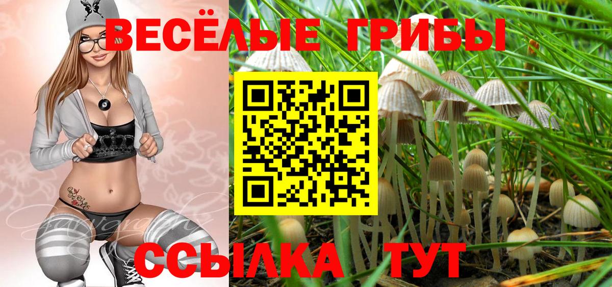 Галлюциногенные грибы мухоморы Новосибирск