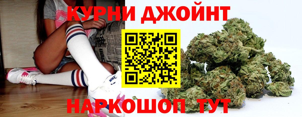 Бошки Шишки планчик  Вход с VPN  Новосибирск  Шишки марихуана сатива 